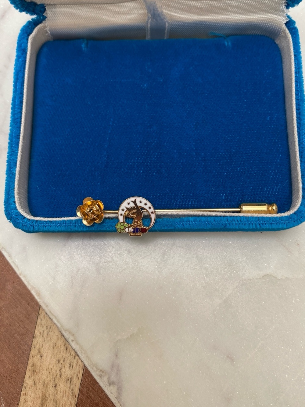 Vintage - Daughters of Rebekah Oddfellows Gold-tone Enamel Stick Pin - Picture 1 of 3